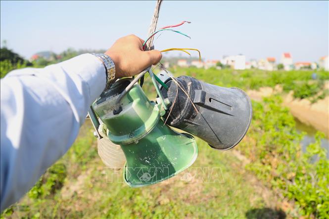 Những loại loa nhằm phóng đại âm thanh tiếng kêu của các loài chim được các thợ bẫy chim sử dụng phổ biến trong hoạt động bẫy bắt chim hoang dã. Ảnh: Xuân Tiến - TTXVN 