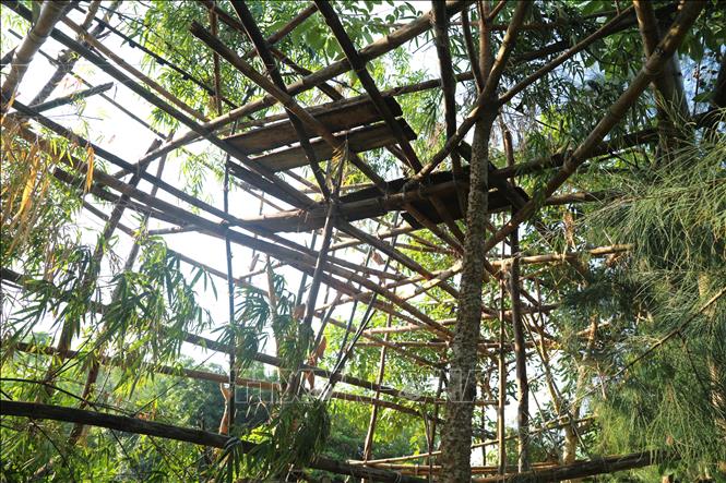 Chòi canh, nơi ẩn nấp của thợ săn chim. Ảnh: Xuân Tiến - TTXVN 