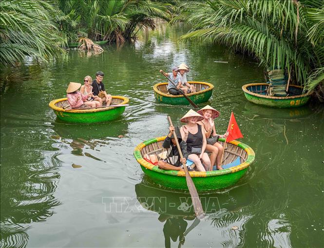 Những chiếc thuyền thúng tròn bằng tre, nhỏ gọn và linh hoạt, đưa du khách len lỏi qua những con rạch giữa rừng dừa nước, khám phá cảnh quan sông nước và cảm nhận nhịp sống bình dị của cư dân địa phương. Ảnh: Khánh Hoà - TTXVN                       