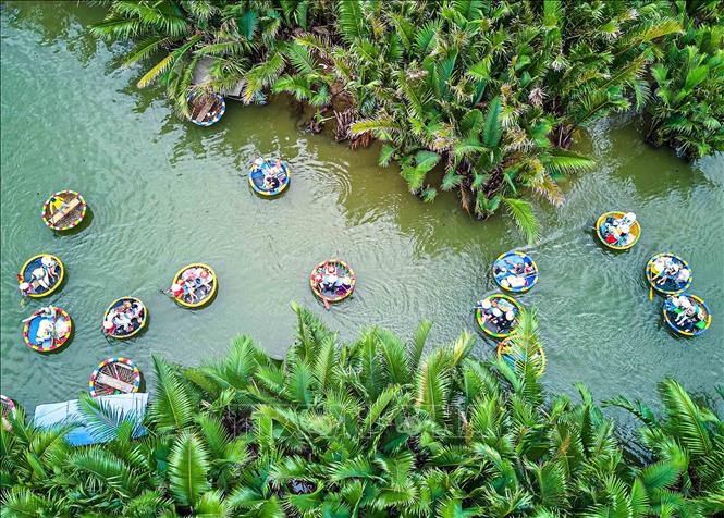 Những chiếc thuyền thúng tròn đan bằng tre, nhỏ gọn và linh hoạt, đưa du khách len lỏi qua những con rạch giữa rừng dừa nước, khám phá cảnh quan sông nước và cảm nhận nhịp sống bình dị của cư dân địa phương. Ảnh: Khánh Hoà - TTXVN