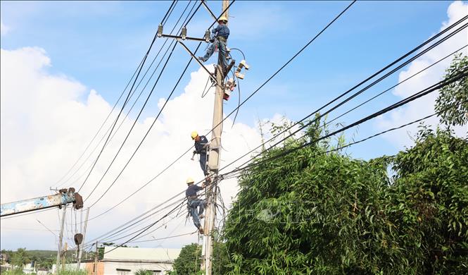 Ghi nhận tại hiện trường, trong ngày 8/9, đơn vị thi công đồng loạt triển khai di dời các trụ điện từ khu vực cầu Rạc đến cầu Cứ. Ảnh: Đậu Tất Thành – TTXVN