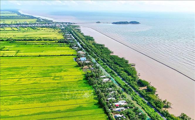 Cà Mau đã xác định các vùng trọng điểm cần tập trung ứng phó gồm: vùng sản xuất nông nghiệp, nuôi trồng thủy sản, khu vực ngọt hóa, vùng ven biển và địa bàn khó khăn về nước sinh hoạt. Ảnh: Huỳnh Anh - TTXVN