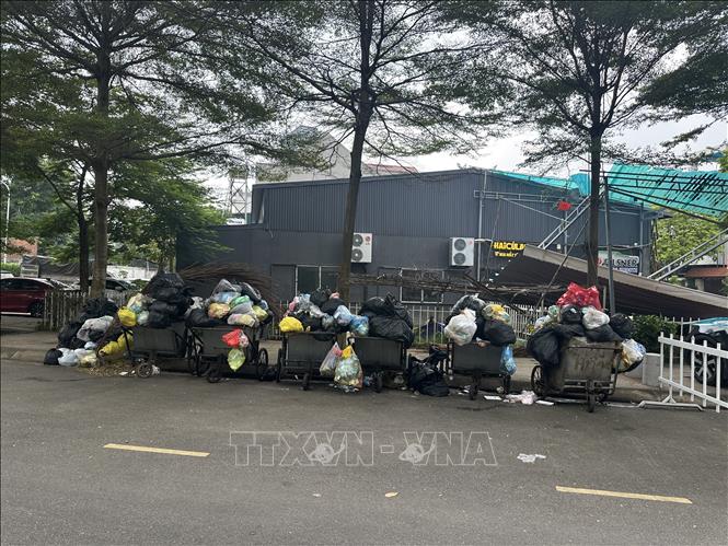 Rác thải ùn ứ tại khu vưcn đường Phan Chu Trinh, phường Vĩnh Phúc. Ảnh: Nguyễn Thảo - TTXVN