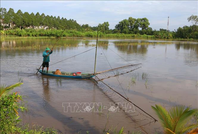 Người dân giăng lưới, đặt dớn để bắt cá, tôm và các sản vật tự nhiên mùa lũ. Ảnh: Duy Khương – TTXVN