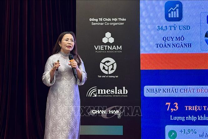 Bà Huỳnh Thị Mỹ, Phó Chủ tịch kiêm Tổng thư ký Hiệp hội nhựa Việt Nam phát biểu tại hội thảo. Ảnh: Mỹ Phương – TTXVN.