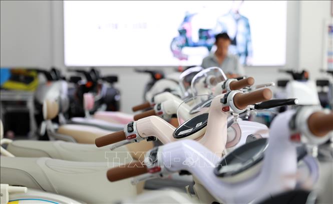 Xe điện được bày bán tại một cửa hàng ở tỉnh Quý Châu, Trung Quốc. Ảnh: THX/TTXVN phát