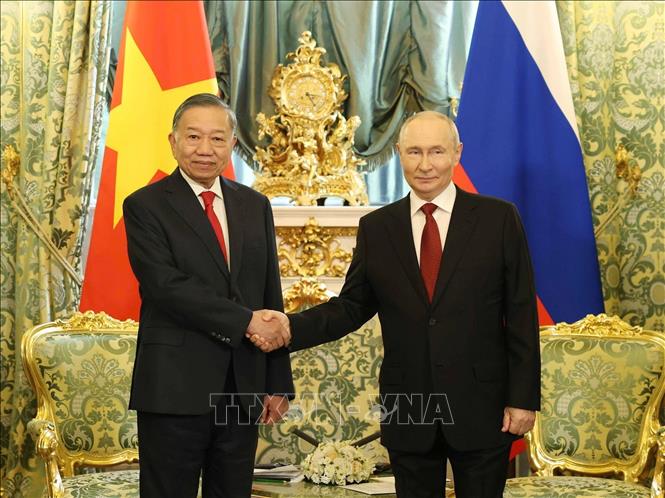 Russian President Vladimir Putin has a restricted meeting with Party General Secretary and State President To Lam. VNA Photo: Thống Nhất