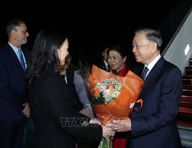 Đại biểu đón Tổng Bí thư, Chủ tịch nước Tô Lâm và Phu nhân tại sân bay Orly, Paris . Ảnh: Thống Nhất – TTXVN