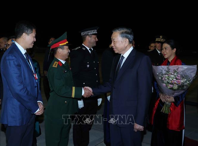 Cán bộ, nhân viên Đại sứ quán Việt Nam tại Pháp đón Tổng Bí thư, Chủ tịch nước Tô Lâm và Phu nhân tại sân bay Orly, Paris . Ảnh: Thống Nhất – TTXVN