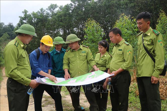 Các lực lượng tuần tra rừng Tây Yên Tử. Ảnh: Thanh Thương - TTXVN