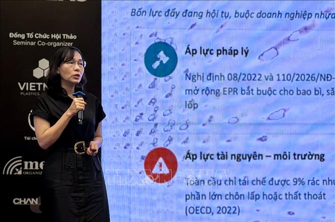 PGS.TS Lê Thị Kim Oanh, Trưởng khoa Môi trường, Trưởng phòng Phát triển nghiên cứu khoa học, Trường Đại học Văn Lang, phát biểu tại hội thảo. Ảnh Mỹ Phương – TTXVN