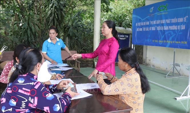 Hội LHPN phường Vị Tân quán triệt, triển khai mô hình đến các hội viên. Ảnh: Nguyễn Hằng - TTXVN