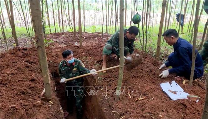 Lực lượng tìm kiếm, quy tập hài cốt liệt sĩ thuộc Bộ Chỉ huy Quân sự tỉnh Quảng Trị nỗ lực tìm kiếm, quy tập những đồng đội còn nằm lại trên các chiến trường. Ảnh: Võ Dung - TTXVN