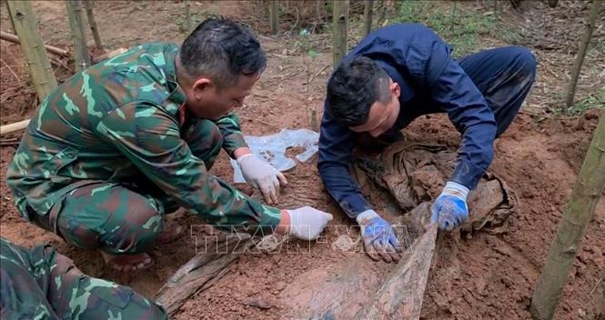 Khu vực rừng tràm thuộc bản Bãi Dinh, xã Dân Hóa, Đội Tìm kiếm, quy tập hài cốt liệt sĩ số 1 (Bộ Chỉ huy Quân sự tỉnh Quảng Trị) phát hiện thêm 4 hài cốt liệt sĩ cùng nhiều di vật. Ảnh: Võ Dung - TTXVN