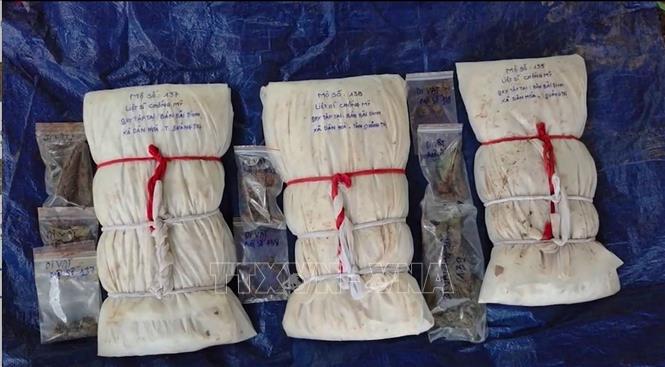 Từ đầu tháng 9 đến nay, tại khu vực rừng tràm thuộc bản Bãi Dinh, xã Dân Hóa (tỉnh Quảng Trị), lực lượng chức năng đã tìm thấy, cất bốc 8 hài cốt liệt sĩ. Ảnh: TTXVN phát