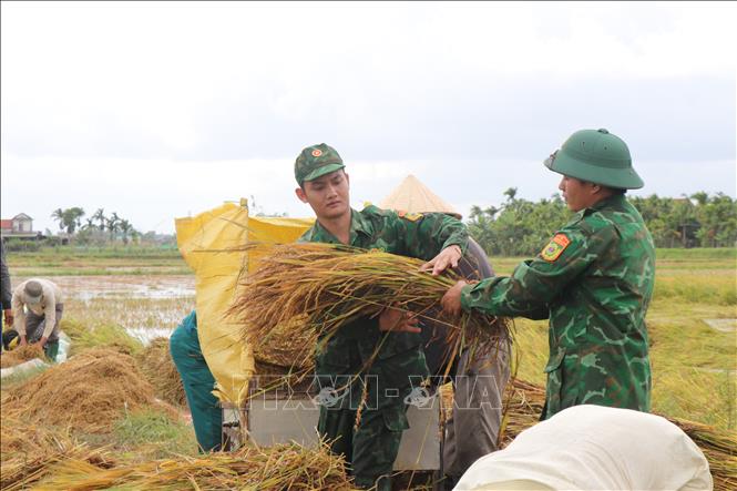 Bộ đội hỗ trợ người dân vận chuyển lúa. Ảnh: Phạm Cường-TTXVN