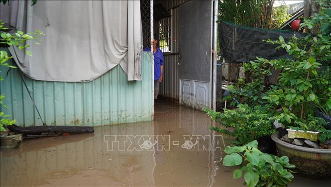 Triều cường đầu tháng 8 âm lịch kết hợp mưa lớn mấy ngày qua gây ngập nhà người dân ở xã Bình Hàng Trung, tỉnh Đồng Tháp. Ảnh: Nhựt An - TTXVN                               