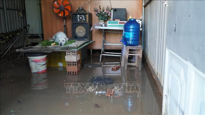 Triều cường đầu tháng 8 âm lịch kết hợp mưa lớn mấy ngày qua gây ngập nhà người dân ở xã Bình Hàng Trung, tỉnh Đồng Tháp. Ảnh: Nhựt An - TTXVN