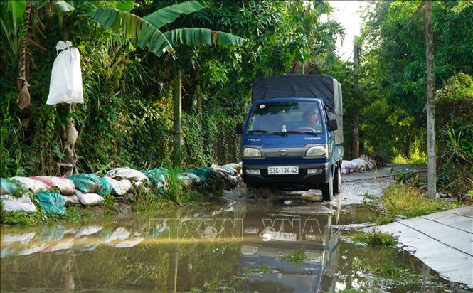 Triều cường đầu tháng 8 âm lịch kết hợp mưa lớn gây ngập đường giao thông ở xã Thanh Hưng, tỉnh Đồng Tháp. Ảnh: Nhựt An - TTXVN