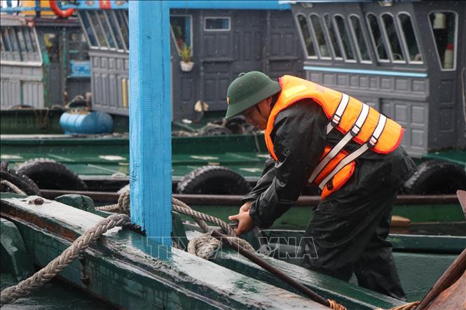 Lực lượng bộ đội biên phòng thành phố Huế kêu gọi, hỗ trợ ngư dân neo đậu tàu thuyền an toàn. Ảnh: Mai Trang- TTXVN