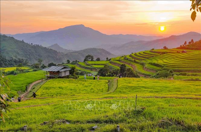 Ánh chiều phủ xuống những thửa ruộng bậc thang Pu Nhi tạo nên khung cảnh mộc mạc, bình yên. Ảnh: Xuân Tư - TTXVN