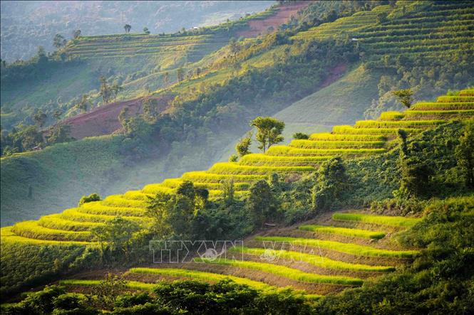 Ruộng bậc thang tầng tầng, lớp lớp theo sườn núi. Ảnh: Xuân Tư - TTXVN