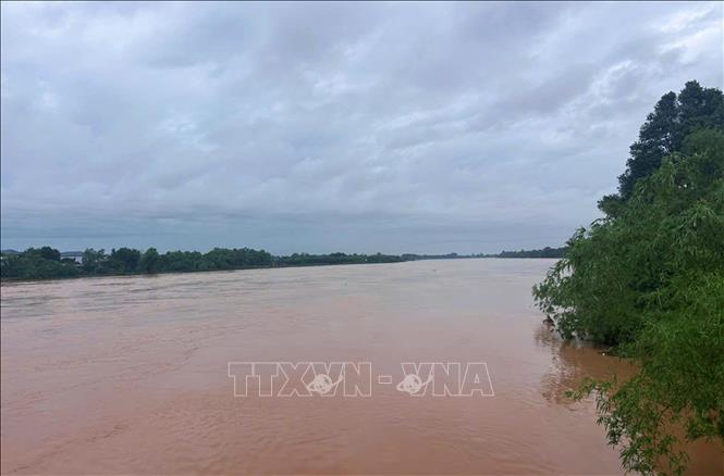 Mực nước lúc 4 giờ ngày 14/9/2026 trên sông Thạch Hãn đo được tại trạm Thạch Hãn là 5,9m, dưới báo động 3 là 0,1m. Ảnh: Tường Vi - TTXVN