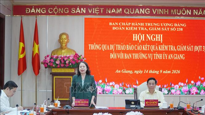 Bí thư Trung ương Đảng, Phó Chủ tịch nước Võ Thị Ánh Xuân, Trưởng Đoàn kiểm tra, giám sát số 238 phát biểu. Ảnh: Văn Sĩ - TTXVN                                