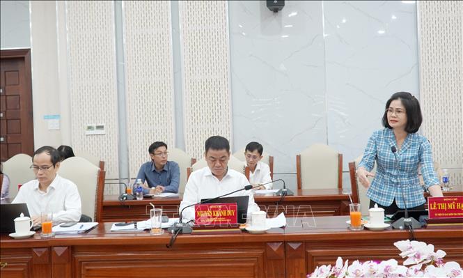 Đồng chí Lê Thị Mỹ Hạnh, Ủy viên Ủy ban Kiểm tra Trung ương, Phó Trưởng Đoàn kiểm tra, giám sát số 238 phát biểu. Ảnh: Văn Sĩ - TTXVN                                  