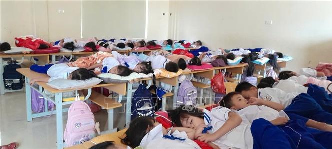 Giờ ngủ trưa của học sinh Trường Tiểu học Quỳnh Tam trưa ngày 14/9. Ảnh: TTXVN phát