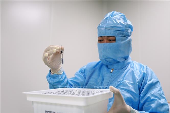 Thực hiện quy trình sản xuất vaccine tại Viện Vắc xin và Sinh phẩm Y tế (IVAC) thuộc Bộ Y tế. Ảnh: Xuân Triệu - TTXVN