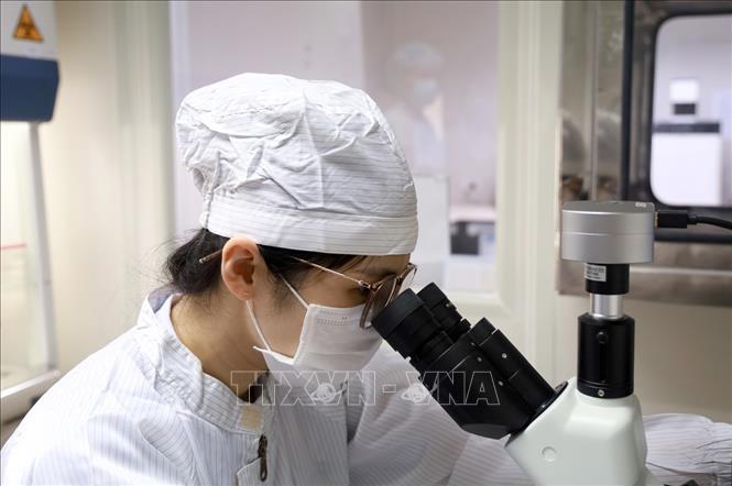 Thực hiện quy trình kiểm tra chất lượng vaccine tại Viện Vắc xin và Sinh phẩm Y tế (IVAC) thuộc Bộ Y tế. Ảnh: Xuân Triệu - TTXVN