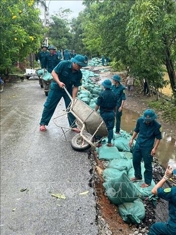 Chính quyền địa phương và các lực lượng chức năng tiến hành vận chuyển và xếp bao tải cát để hạn chế sạt lở tiếp tục lan rộng, ảnh hưởng đến công trình và an toàn của người dân tại khu vực xung yếu. Ảnh: TTXVN phát