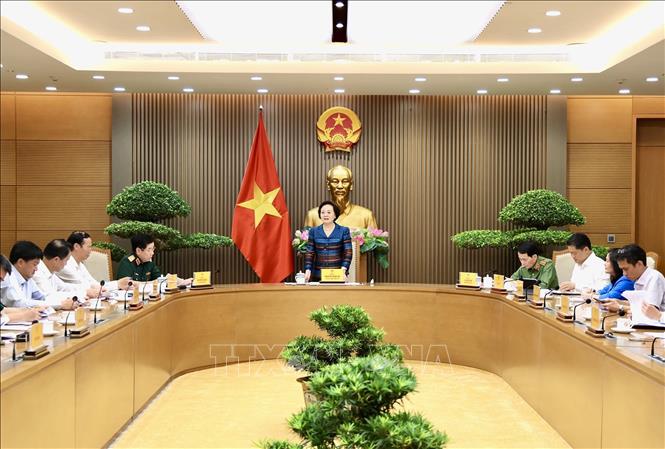 Bí thư Trung ương Đảng, Phó Thủ tướng Phạm Thị Thanh Trà, Trưởng Ban Chỉ đạo quốc gia về tìm kiếm, quy tập và xác định danh tính hài cốt liệt sĩ chủ trì buổi làm việc. Ảnh: TTXVN