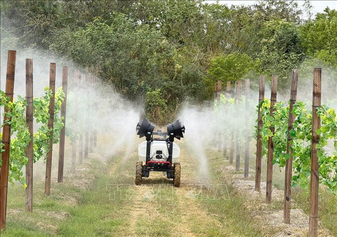 Mô hình nông nghiệp áp dụng công nghệ cao tại tỉnh Quảng Đông (Trung Quốc). Ảnh: Công Tuyên - PV TTXVN tại Trung Quốc