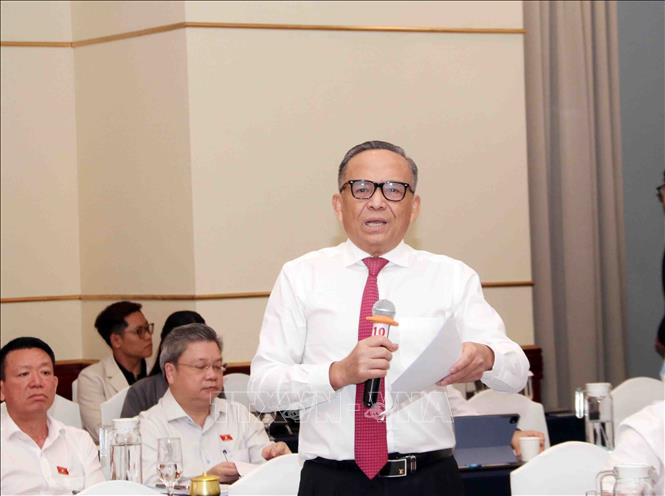 Ông Lê Hoàng Châu, Chủ tịch Hiệp hội Bất động sản Thành phố Hồ Chí Minh, góp ý Luật Đật đai (sửa đổi) tại Hội thảo. Ảnh: Xuân Khu-TTXVN