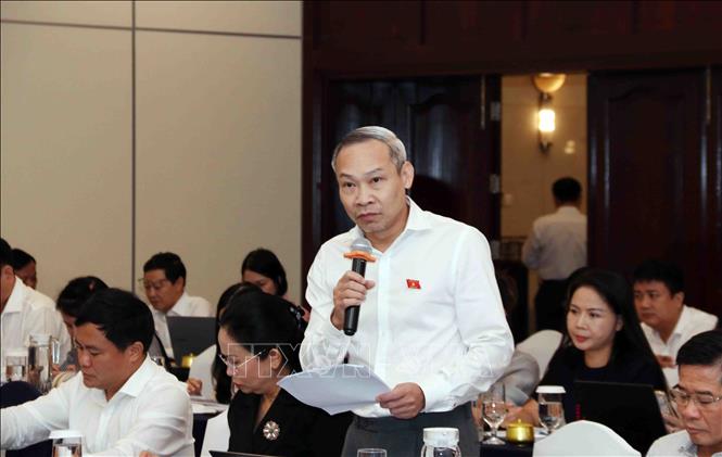 Ông Nguyễn Đức Hiếu, Ủy ban Kinh tế và Tài chính Quốc hội, phát biểu tại Hội thảo. Ảnh: Xuân Khu-TTXVN