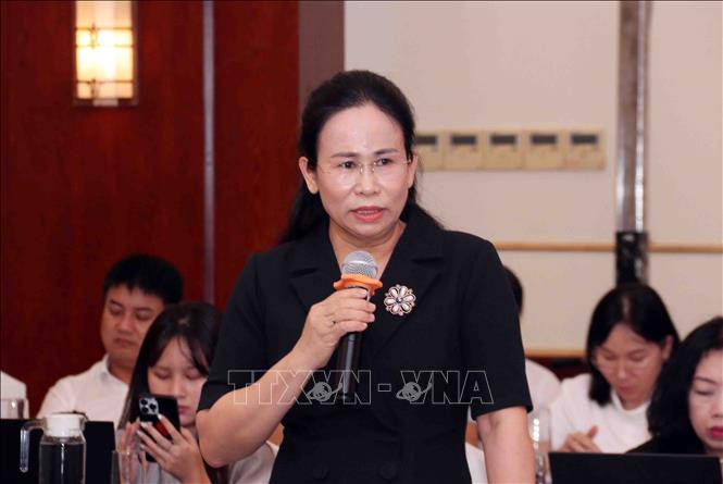 Bà Đỗ Thị Hoàng Yến, Thẩm phán Tòa án Nhân dân Tối cao, góp ý Luật Đật đai (sửa đổi) tại Hội thảo. Ảnh: Xuân Khu-TTXVN