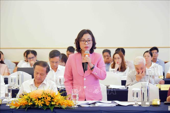 Bà Tống Thị Hạnh, Phó Trưởng Tiểu ban Dân sự - Kinh tế, Ủy ban Pháp luật và Tư pháp Quốc hội phát biểu tại hội thảo. Ảnh: Xuân Khu-