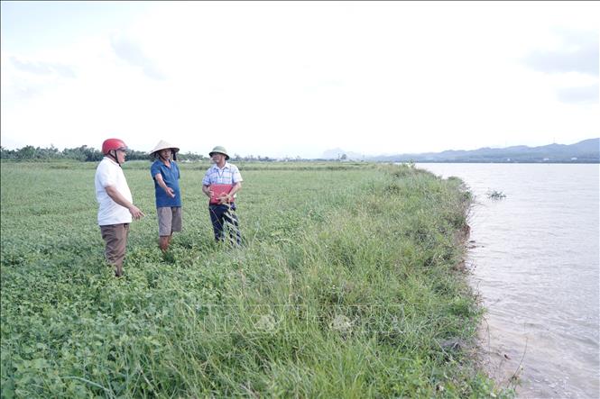 Tình trạng sạt lở kéo dài không chỉ làm thu hẹp diện tích đất sản xuất mà còn tiềm ẩn nguy cơ mất an toàn trong mùa mưa lũ. Ảnh: Thanh Thuỷ-TTXVN                                                    