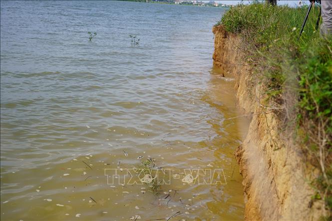 Những hàm ếch mới được tạo ra do sạt lở diễn ra hàng ngày. Ảnh: Thanh Thuỷ-TTXVN                                                              