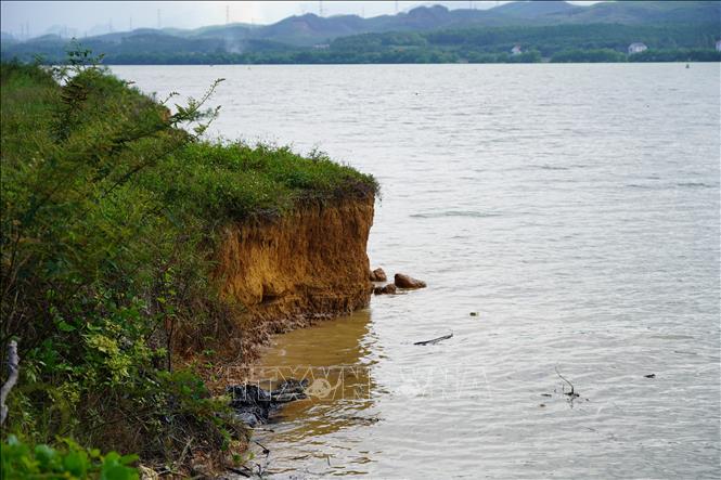 Xã Quảng Ninh có hơn 11km bờ sông bị sạt lở, xói mòn, ảnh hưởng trực tiếp đến hơn 4.800 hộ dân. Ảnh: Thanh Thuỷ-TTXVN                                                              
