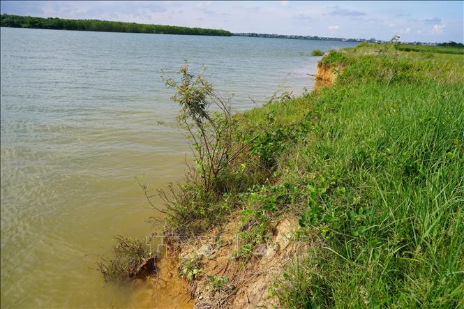 Xã Quảng Ninh hiện có hơn 11km bờ sông bị sạt lở, xói mòn, ảnh hưởng trực tiếp đến hơn 4.800 hộ dân. Ảnh: Thanh Thuỷ-TTXVN                               