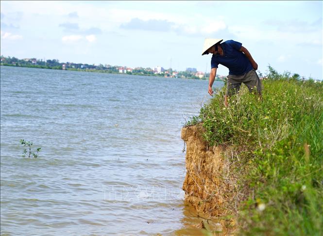 Do chưa có hệ thống kè bê tông để chắn sóng nên tình hình sạt lở diễn ra nghiêm trọng. Ảnh: Thanh Thuỷ-TTXVN                                                              