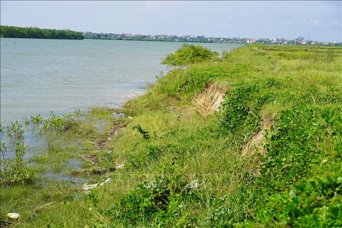 Tình trạng sạt lở bờ sông Nhật Lệ đoạn qua thôn Hàm Ninh đang diễn ra ngày càng nghiêm trọng. Ảnh: Thanh Thuỷ-TTXVN                                                              