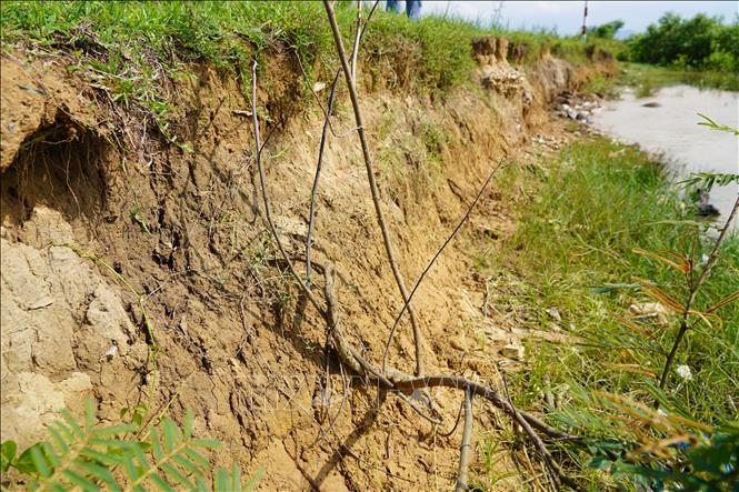 Thôn Hàm Ninh, xã Quảng Ninh, là một trong số nhiều địa phương trên địa bàn xã Quảng Ninh bị sạt lở bờ sông nghiêm trọng. Ảnh: Thanh Thuỷ-TTXVN                                                           
