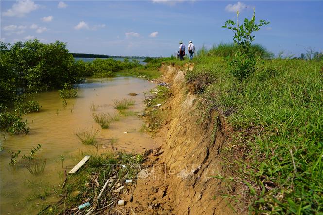 Thôn Hàm Ninh, xã Quảng Ninh là một trong số nhiều địa phương trên địa bàn xã Quảng Ninh bị sạt lở bờ sông nghiêm trọng. Ảnh: Thanh Thuỷ-TTXVN                            