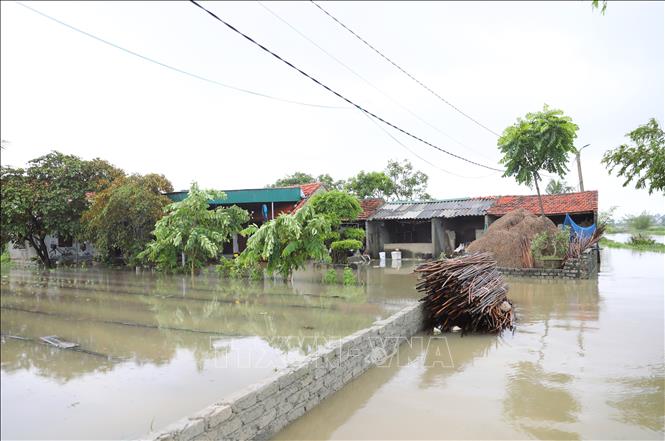  Khu vực vùng trũng thấp trên địa bàn xã Quỳnh Anh (tỉnh Nghệ An) bị ngập lụt nặng. Ảnh: Xuân Tiến - TTXVN 
