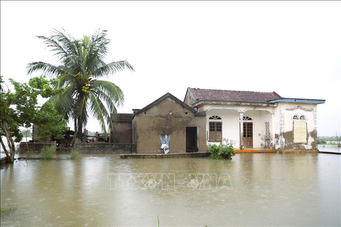 Tại xã Quỳnh Anh (tỉnh Nghệ An) có hàng chục khu vực bị ngập lụt sau mưa lớn diễn ra trong đêm 15/9. Ảnh: Xuân Tiến - TTXVN 