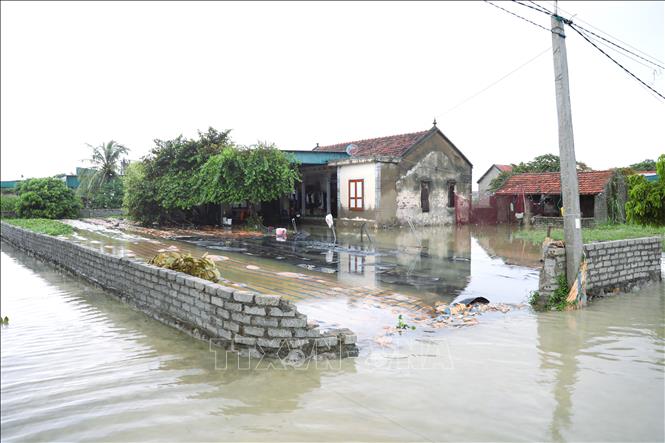 Nhiều nhà dân, khu vực vườn tược, khu chuồng trại chăn nuôi của người dân xã Quỳnh Anh (tỉnh Nghệ An) bị ngập nặng. Ảnh: Xuân Tiến - TTXVN 